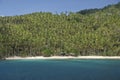 Coconut plantation Royalty Free Stock Photo