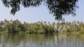 Backwater And Coconut Plantation green nature