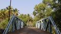 Bridge And Coconut Plantation