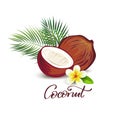 Coconut and plumeria flower illustration