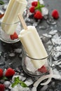 Coconut popsicles with raspberries on black background Royalty Free Stock Photo