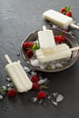 Coconut popsicles with raspberries on black background Royalty Free Stock Photo