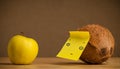 Coconut with post-it note looking at apple