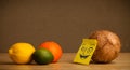 Coconut with post-it note smiling at citrus fruits