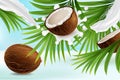 Coconut poster design template, vector realistic illustration