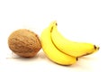 Coconut and ripe bananas close-up
