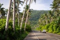 Coconut Road in Siargao, Philippines - A scenic pathway lined with coconut trees.