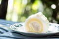 Coconut roll cake Royalty Free Stock Photo