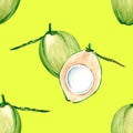 Coconut samples pattern. Fresh young green coconuts on a lime background. Watercolor illustrations for kitchen design.