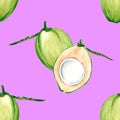 Coconut samples pattern. Fresh young green coconuts on a pink background. Watercolor illustrations for kitchen design.