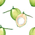 Coconut samples pattern. Fresh young green coconuts on a white background. Watercolor illustrations for kitchen design. Royalty Free Stock Photo