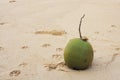 Coconut on the sand - India, beach Royalty Free Stock Photo