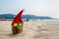 Coconut in a Santa Christmas hat in sand on a tropical beach - Holiday tropic summer concept. Royalty Free Stock Photo