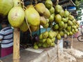 Coconut seller