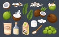 Coconut set, isolated whole coconuts pile and fruit cut in half, slices, milk and oil