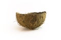 Coconut shell