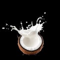 Coconut Shell Filled With Splash of Milk on White Background Creating Dynamic Visual Effect Royalty Free Stock Photo