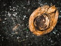 Coconut shell on a ground with space for copy space Royalty Free Stock Photo