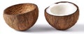 The Coconut Shell Halves Displaying Fresh Edible White Flesh Inside AI generated image Royalty Free Stock Photo