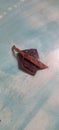 Coconut shell hand made in Sri Lanka pendant both