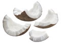 Coconut shell pieces set isolated on white background Royalty Free Stock Photo