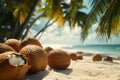 Coconut shells on a sandy beach under palm trees with a clear blue ocean in the background during a sunny day Royalty Free Stock Photo