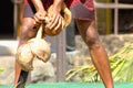 Coconut shuck Royalty Free Stock Photo