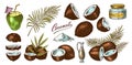 Coconut sketch. Tropical food and palm leaf. Retro ink style. Hand drawn vector illustration for market, menu, label