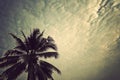 Coconut sky Royalty Free Stock Photo