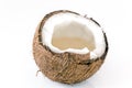coconut slice isolated on the white background. Royalty Free Stock Photo