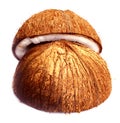 Coconut