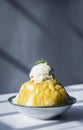 Coconut sorbet with mango sauce and vanilla ice cream