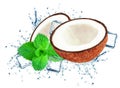 Coconut splash water