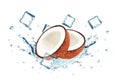 Coconut splash water