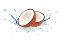 Coconut splash water