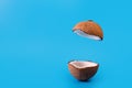 Coconut split in half and flying on isolated blue background. Coconut levitating. podium concept. Royalty Free Stock Photo