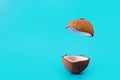 Coconut split in half and flying on isolated turquoise background. Coconut levitating. podium concept. object. Royalty Free Stock Photo