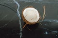 coconut split in half on a kitchen countertop Royalty Free Stock Photo