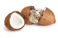 Coconut spoiled with mold isolated on white background Royalty Free Stock Photo