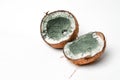 Coconut spoiled with mold isolated on white background. Green mold on coconut Royalty Free Stock Photo