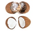 Coconut spoiled with mold isolated on white background. Top view Royalty Free Stock Photo