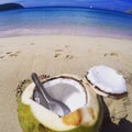 Coconut spooning on the beach