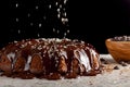 Coconut sprinkles falling onto a delicious chocolate cake