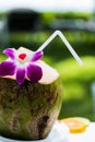 Coconut with straw and flower