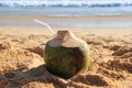 A coconut with straw on the sandy beach near to the sea in the sunny weather.