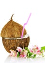 Coconut stylized as glass for coctail Royalty Free Stock Photo