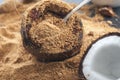 Coconut Sugar Royalty Free Stock Photo