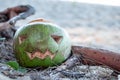 Coconut is a symbol of Halloween. With a carved face on a pumpkin. Lays in the roots on a beach. Jack o lantern concept Royalty Free Stock Photo