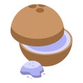 Coconut tooth powder icon isometric vector. Tube mouth