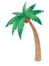 Coconut tree